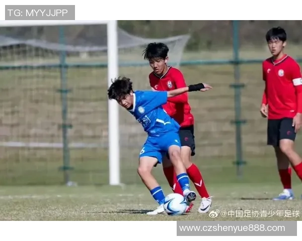 深圳足球队在锦标赛中的状态分析与表现评估